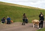 Therapie-Hunde am Stausee Kelbra (Foto: Ulrich Reinboth)