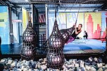 Fit Kids Tage des Humboldt Gymnasiums (Foto: C.Keil)