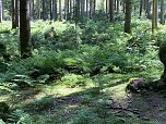 Wandertouren im Juni (Foto: Wolfgang Lehmann)