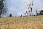 Brand bei Gro&szlig;furra (Foto: S.Dietzel)