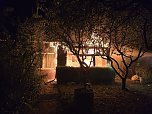 Brand im St&uuml;rzetal (Foto: S. Dietzel)