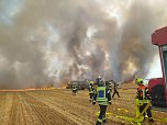 Feldbrand (Foto: Silvio Dietzel)