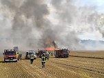 Feldbrand (Foto: Silvio Dietzel)