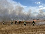 Feldbrand (Foto: Silvio Dietzel)
