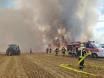 Feldbrand (Foto: Silvio Dietzel)