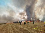 Feldbrand (Foto: Silvio Dietzel)