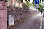 Nicht das Gr&uuml;n das man sich w&uuml;nscht, meint Anton Adlerauge (Foto: privat)
