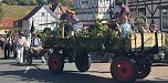 Historischer Festumzug in S&uuml;lzhayn (Foto: ykh )