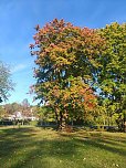 Herbststimmung in Nordhausen (Foto: P.Blei)