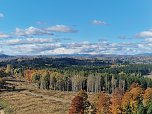 Herbstwanderung im S&uuml;dharz (Foto: agl)