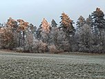 Winterlandschaften (Foto: P.Blei)