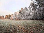 Winterlandschaften (Foto: P.Blei)