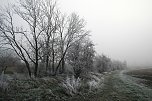 Winterlandschaft bei Kelbra (Foto: U.Reinboth)