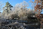 Winterlandschaft bei Kelbra (Foto: U.Reinboth)