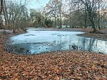 Eis und Frost im Stadtpark (Foto: Peter Blei)