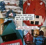 Gaja - ist sie noch zu retten? (Foto: Tanita Thelemann)