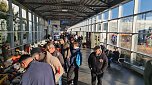 Jede Menge Oldtimer gab es am Wochenende in Erfurt zu sehen. (Foto: Cornelia Wilhelm)