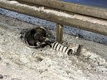 Bei dem Unfall auf der B84 wurden zwei Menschen verletzt. (Foto: Silvio Dietzel) Bei dem Unfall auf der B84 wurden zwei Menschen verletzt. (Foto: Silvio Dietzel)