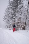 Die Loipe ab Rothes&uuml;tte ist wieder frisch gespurt. (Foto: Nicole Mattern)