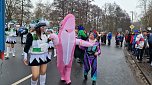 Umzug zum 66. Jubil&auml;um des Krimder&ouml;der Karnevalsclubs (Foto: agl)