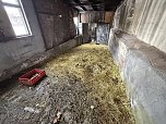 Eine Tierhaltung im Landkreis Nordhausen wurde aufgel&ouml;st. (Foto: Silvio )