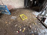 Eine Tierhaltung im Landkreis Nordhausen wurde aufgel&ouml;st. (Foto: Silvio )