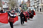 Impressionen vom Faschingsumzug in Bad Langensalza (Foto: Eva Maria Wiegand)
