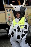 Impressionen vom Faschingsumzug in Bad Langensalza (Foto: Eva Maria Wiegand)