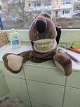 Tag der Zahngesundheit an der Grundschule Montessori (Foto: Pressestelle Landratsamt)