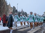 Rosenmontag in Sondershausen (Foto: Janine Skara)