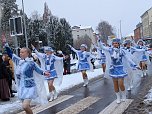 Rosenmontag in Sondershausen (Foto: Janine Skara)