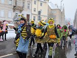Rosenmontag in Sondershausen (Foto: Janine Skara)