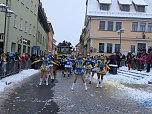 Rosenmontag in Sondershausen (Foto: Janine Skara)