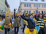 Rosenmontag in Sondershausen (Foto: Janine Skara)