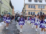 Rosenmontag in Sondershausen (Foto: Janine Skara)
