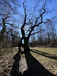 Der Wanderfebruar in der Hainleite (Foto: Wolfgang Lehmann)