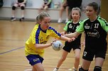 Handball-Ergebnisdienst (Foto: NSV)