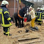 Das Pferd war in eine fr&uuml;here, jetzt leere, G&uuml;llegrube gerutscht. (Foto: Fotos: Feuerwehr Trebra/Silvio Dietzel)