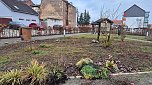 Arbeitseinsatz im Bleichpark (Foto: Michael Messing)