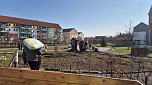 Arbeitseinsatz im Bleichpark (Foto: Michael Messing)