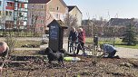 Arbeitseinsatz im Bleichpark (Foto: Michael Messing)
