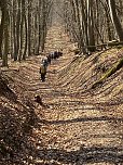Impressionen von den  Wanderausfl&uuml;gen der Hainleite-Gruppe.  (Foto: Wolfgang Lehmann)