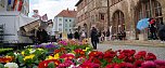 Brunnenfest und verkaufsoffener Sonntag in Nordhausen. (Foto: ssc)