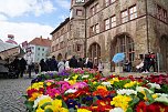 Brunnenfest und verkaufsoffener Sonntag in Nordhausen. (Foto: ssc)
