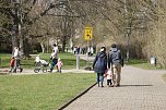 Brunnenfest und verkaufsoffener Sonntag in Nordhausen. (Foto: ssc)