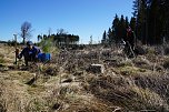 Bei der Baumpflanzaktion bei Rothes&uuml;tte halfen auch viele Familien mit.  (Foto: ssc)