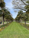 Gartenschau in K&ouml;ln (Foto: Wolfgang Lehmann)