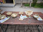 Ferientag mit den Urbacher Kleintierzüchtern (Foto: Kevin Seifert) Ferientag mit den Urbacher Kleintierzüchtern (Foto: Kevin Seifert)