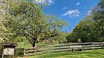 Idylle pur inmitten der Kulturlandschaft - zum "Tag der Streuobstwiese" wurde zur Wiese am Rosenteich bei Neustadt geladen (Foto: agl)