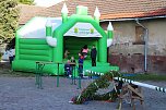 Aufstellung des Maibaums in Kelbra (Foto: Ulrich Reinboth)